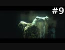 【協力実況】バイオハザード6　part9