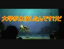 【台風】大学が水没したんですけど【タートルトーク】東京ディズニーシー