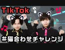 TikTokで猫に変身！