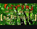 【ニコカラ】(米津玄師) パプリカ / Foorin【アコギ(＋５)】【off vocal】
