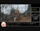 【深僻borneRTA】バグ無し低レベル（48）チャート_(any%)_9分30秒