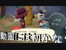 【あつまれ どうぶつの森】　第八十八幕　あの海賊が遂に動画に登場！！って言うか遅すぎ……