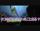 【アースラ】タコの魔女にあったことある？【タートルトーク】東京ディズニーシー
