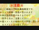 狐と獅子の反省遠征記録～其の二～【第２回】