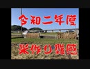 2020年米作り雑感