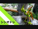 【折り紙】「シシオドシ」 22枚【鹿威し】／【origami】"Shishiodoshi" 22 pieces【Shishi-odoshi】