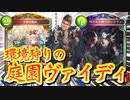 【 シャドバ新弾 】おい‼平均︎7、8ターンで終わるから環境デッキ狩まくれるぞ‼︎〝万華の鳳凰〟との相性が良すぎて帰ってきた〝ヴァイディ〟庭園自然ドラゴン【 Shadowverse シャドウバース 】