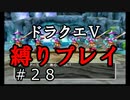 【アルカリ性】いざ水のリングへ！26周目の縛りプレイ！【ドラクエ5シーズン1 Part28】