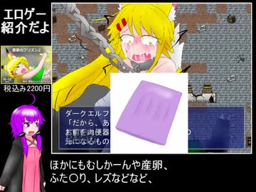 エロゲ紹介！『悪夢のプリズン2』を通常プレイ　part2