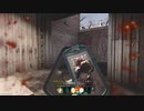 [CoD:MW]フルオートマークスマンライフル