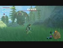 【実況】ハイラルソード　その26