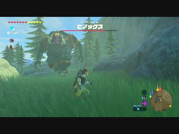 【実況】ハイラルソード　その26