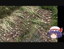 ゆっくり農民144ニンニクを育ててみませんか？＃8