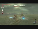 ゼルダの伝説ブレスオブザワイルドマスターモードを実況プレイ（2020年9月13日放送）2／4