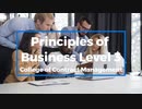 Principles of Business Level 3
