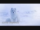 【作業用BGM】リズム・ド・ケルト ツヴァイ