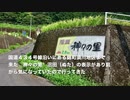 神々の里　上沼田〜神楽伝承の山里と神沼田神社　岩国市錦町 須川上沼田（うえぬだ）