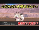 ポケモン剣盾　ルガルガンを捕まえる方法！オススメの場所は？天気は？ポケモン図鑑コンプへの道！　【ポケモンソード・シールド】