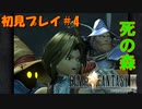 ファイナルファンタジーⅨ　目覚めたとき