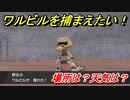 ポケモン剣盾　ワルビルを捕まえる方法！オススメの場所は？天気は？ポケモン図鑑コンプへの道！　【ポケモンソード・シールド】