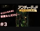 ＃３ その幅なら行けるだろうよ（アンチャーテッド ～エル・ドラドの秘宝～）