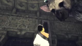【実況】ワシと大鷲のお話。「人喰いの大鷲トリコ」part16