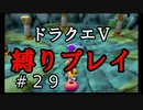 【アルカリ性】今回こそ水のリングを！26周目の縛りプレイ！【ドラクエ5シーズン1 Part29】