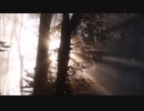 TTMP original music & image movie【 Tenderly 】