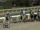 【競馬】 2008年6月25日 第31回 帝王賞（ＪｐｎⅠ）