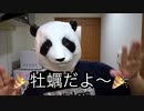 Nachi Pandaのお取寄せグルメ第1弾　厚岸産の生牡蠣