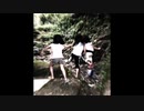 【ゆっくり怪談】山の穴