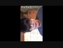 ダルシム矢野 20/10/16 「ニコニコ生放送アプリからの放送」1