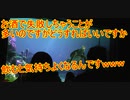 【飲むと気持ちよくなるｗ】お酒で失敗しちゃうことが多いのですがどうしたらいいですか【タートルトーク】東京ディズニーシー