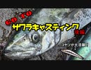 【船釣り】GoTo サワラキャスティング！ 後編