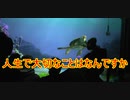人生で大切なことはなんですか【タートルトーク】東京ディズニーシー