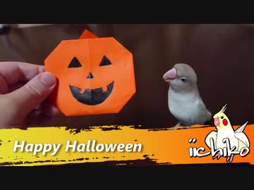 Happy Halloween「イタズラするから餌ちょーだい！」