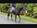 引退競走馬の【Vlog】part19