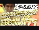 天空のジュニッチ