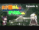 あか姉さんときりたんさん EP6 「おニューのカメラはじゃじゃ馬じゃ！」【VOICEROID車載】