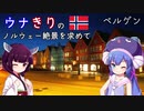 ウナきりの絶景を求めて ノルウェー 6 －Night Bergen