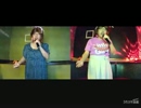 The Perfect Vision／MINMI