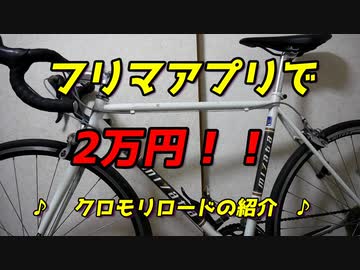 2万円で買ってきた少しボロいクロモリロードレストア