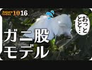 1016【コサギがガニ股で慌てる】ハクセキレイの夏羽冬羽換羽、鳩の群れと白い鳩、スズメの水浴び、ハグロトンボ捕食、ウラギンシジミ【 #今日撮り野鳥動画まとめ 】 #身近な生き物語