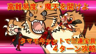 【FGO：高難易度　魔天を開けよ】「魔王を鎮めしは猫の務め」（タマモキャットで三連宝具の４ターン攻略）