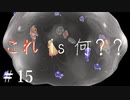 【 夫婦実況 】ひたすら惚気る聖剣伝説2 【 part15 】