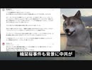 楠栞桜の信者に「中国共産党の工作員」呼ばわりされマジギレする犬