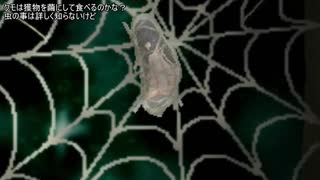 【ゆっくり実況】セーラー服機械娘のリョナアクション！アームズブレス【Part2】