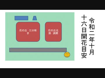 日の丸と暁　中村あゆみのサウンドで