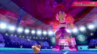 愚兄弟の愚考で挑むポケモン剣盾バトル　パート17