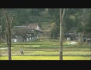 生きていること